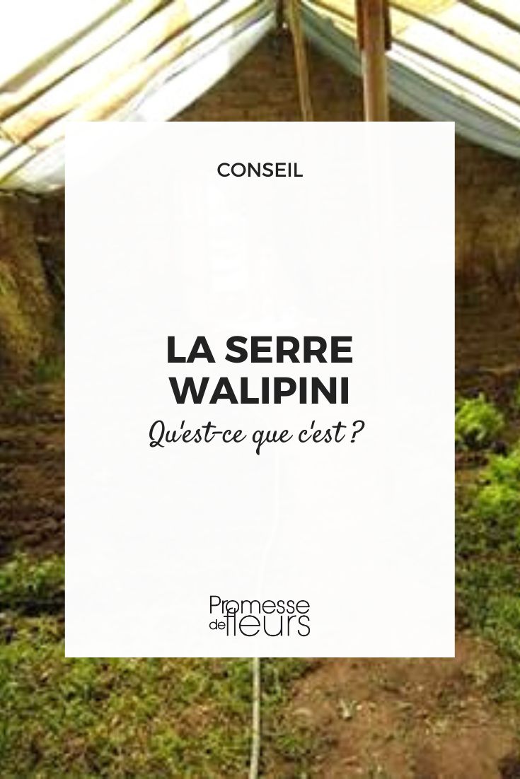 invernadero semienterrado