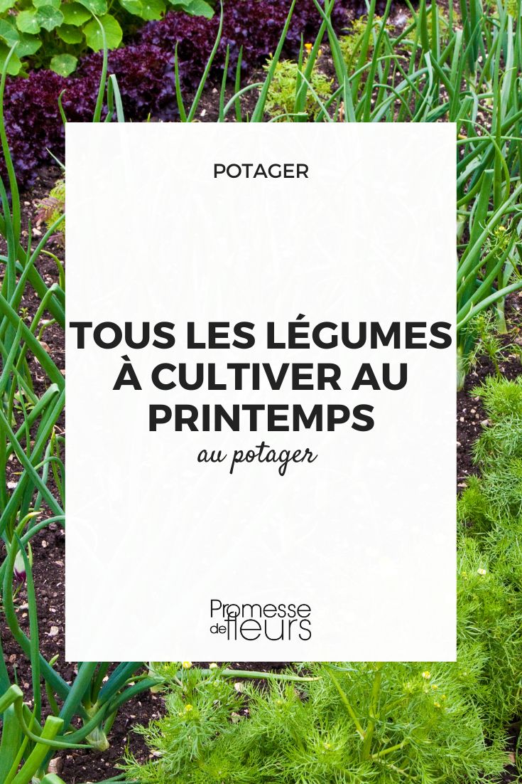 hortalizas de primavera