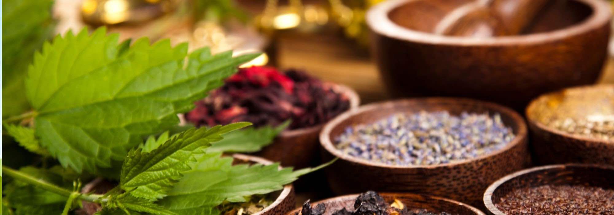 10 plantas medicinales para combatir los dolores de cabeza