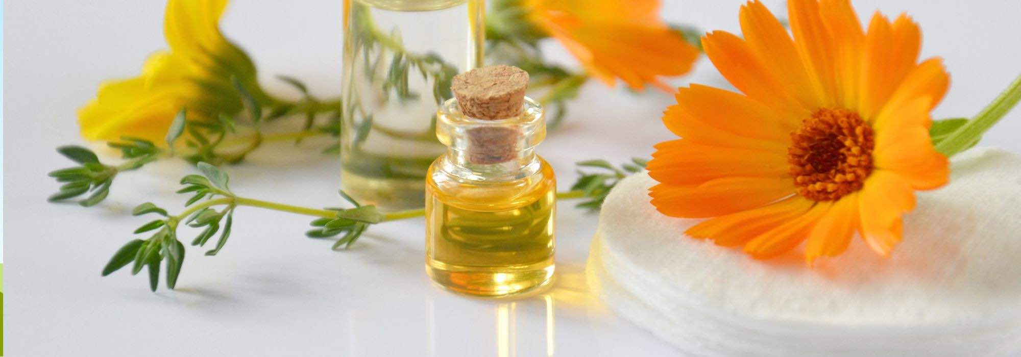 7 plantas medicinales para tener una piel bonita