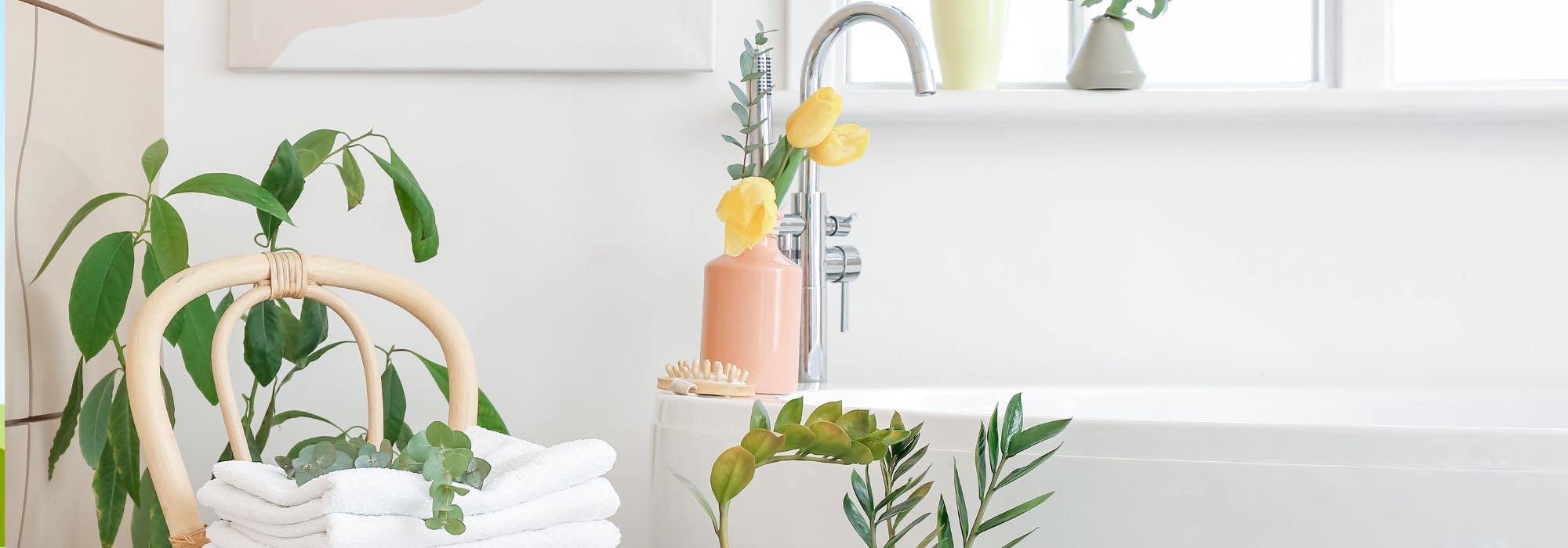 11 plantas de interior perfectas para el baño