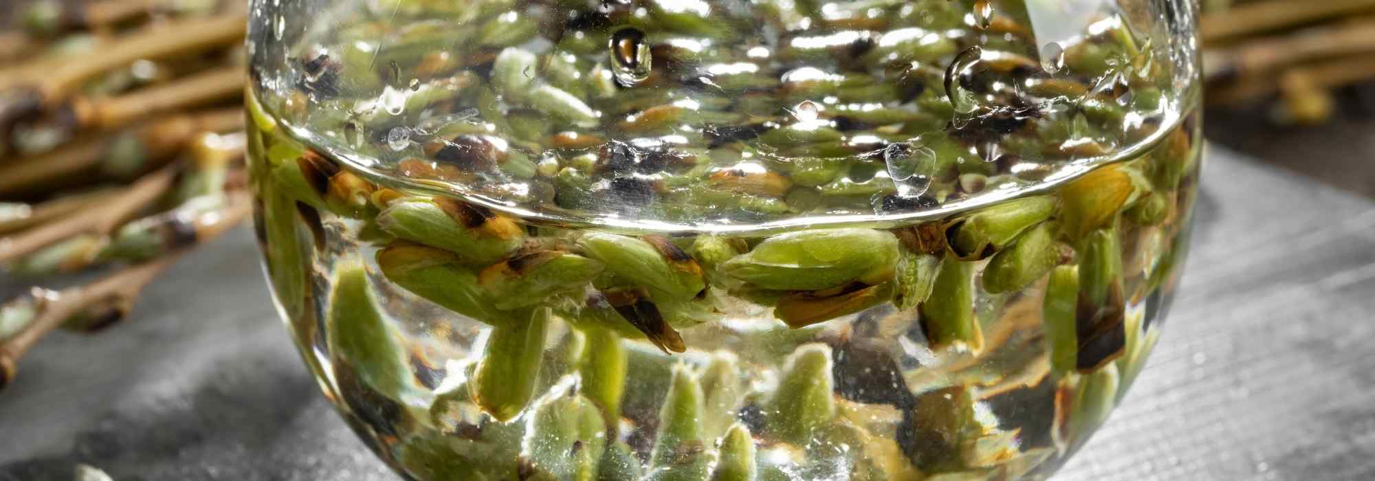 ¿Cómo cuidarse con los árboles?