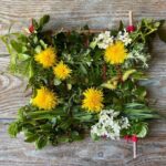 ¿Cómo crear un marco vegetal con los niños?