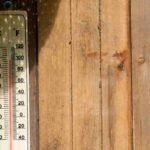 Guía de supervivencia para el jardín en verano