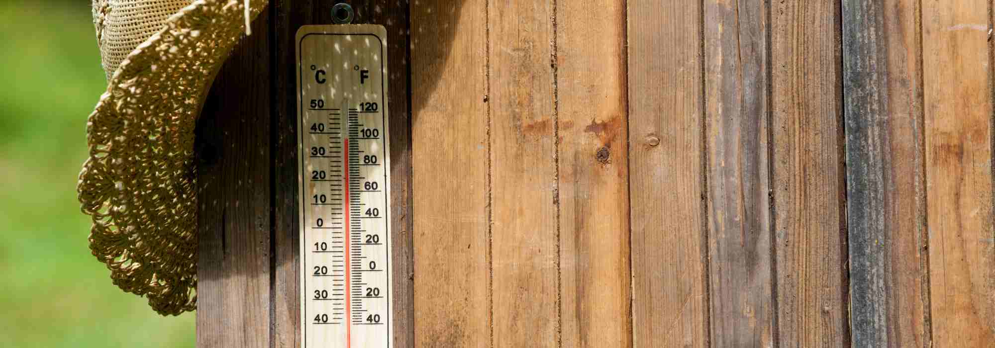 Guía de supervivencia para el jardín en verano