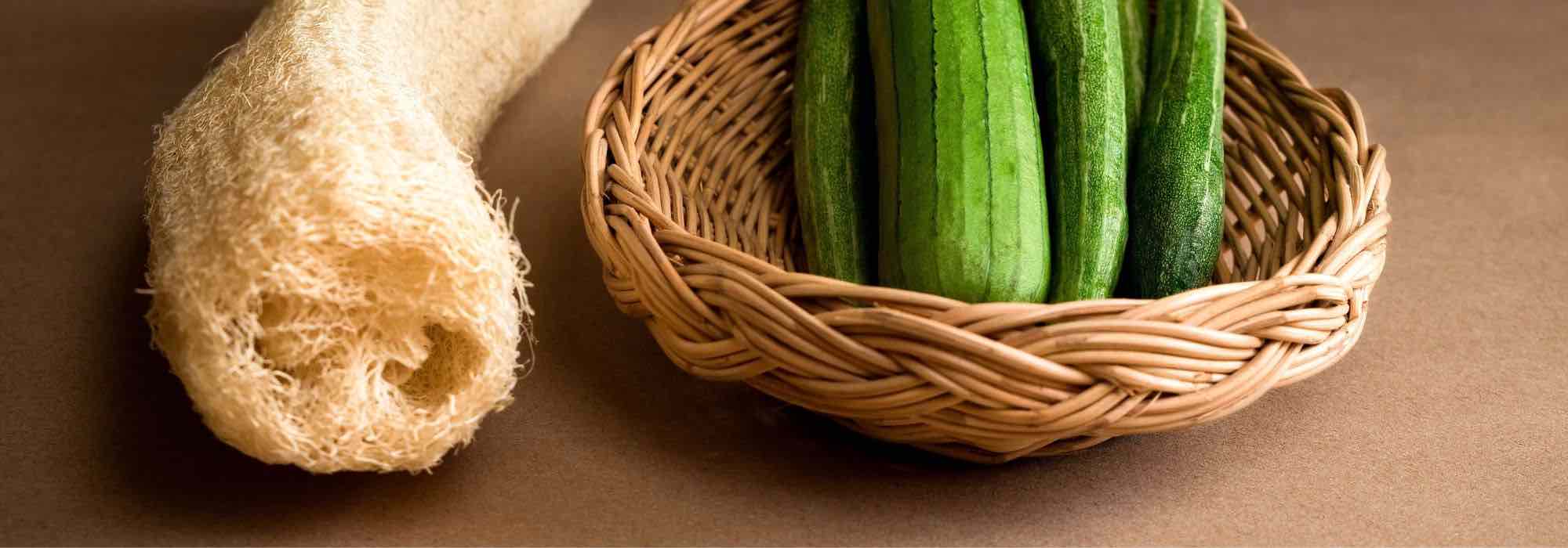 ¿Cómo tener éxito con la siembra de la calabaza loofah, o esponja vegetal?