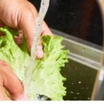 ¿Cómo utilizar las aguas grises en el jardín?