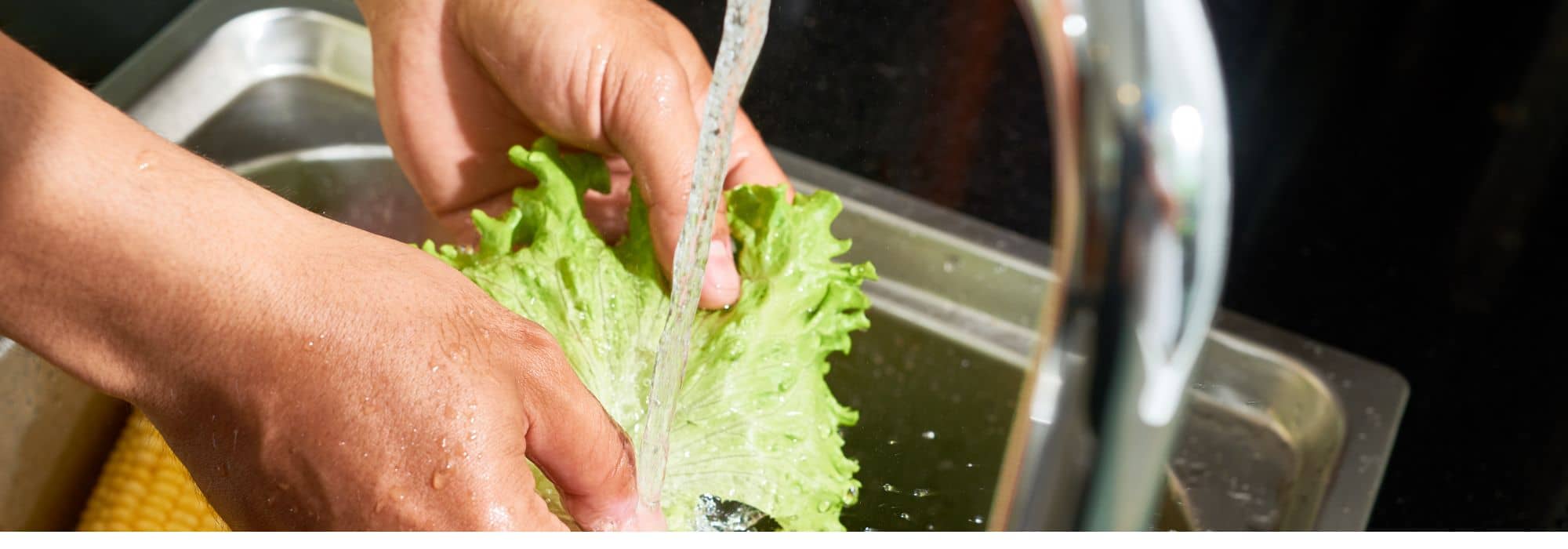 ¿Cómo utilizar las aguas grises en el jardín?