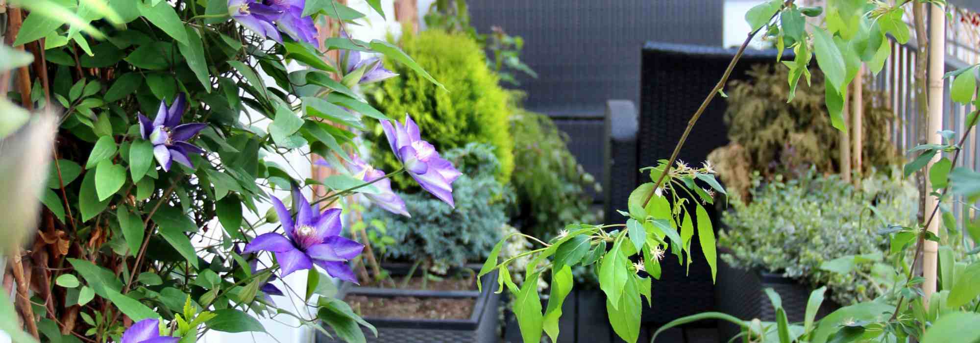 ¿Cómo vestir una barandilla de balcón?