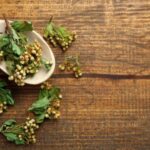 ¿Cómo preparar una infusión de Espino?