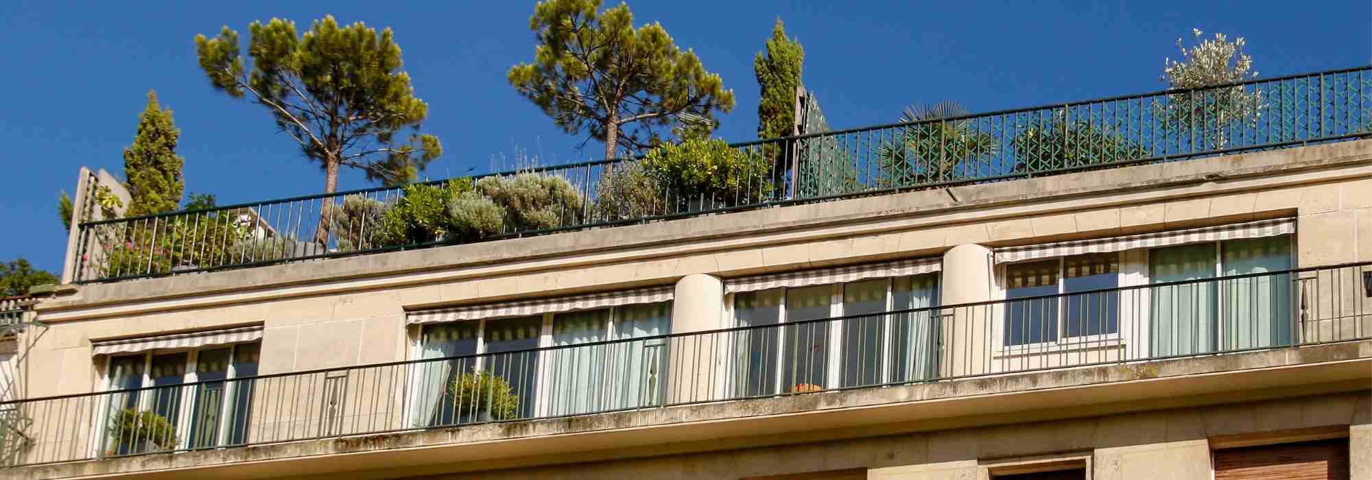 9 consejos de paisajistas para acondicionar una terraza en la azotea