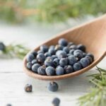 ¿Cómo secar y conservar correctamente las bayas de enebro?