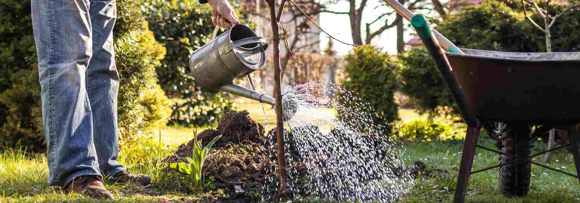 Los buenos periodos de plantación