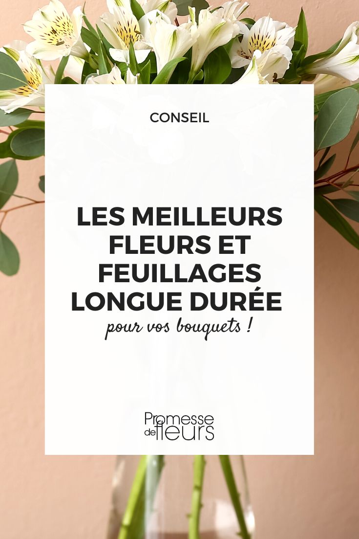 flores y hojas ramos