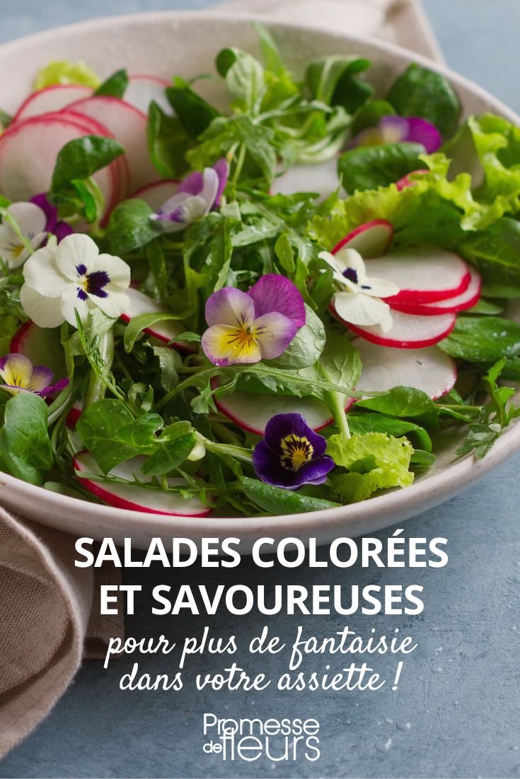 ensaladas coloridas y flores comestibles