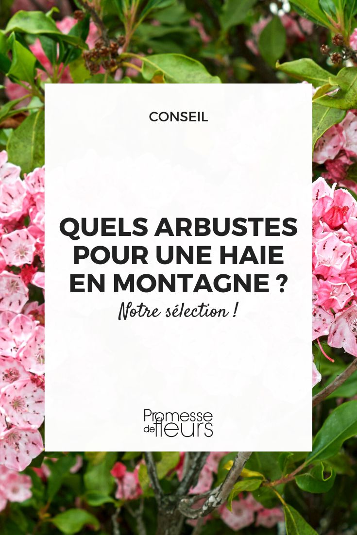 plantar seto en región montañosa