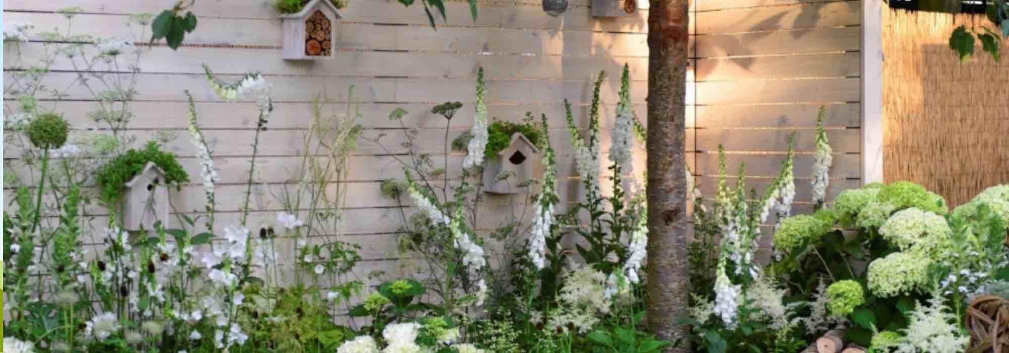 ¿Qué arbustos plantar a lo largo de un muro o un murete?