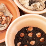 ¿Cuándo y cómo dividir los bulbos de primavera?