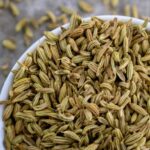 ¿Cómo recolectar y conservar las semillas de Hinojo?