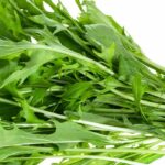 ¿Cómo lograr el cultivo de la mizuna?