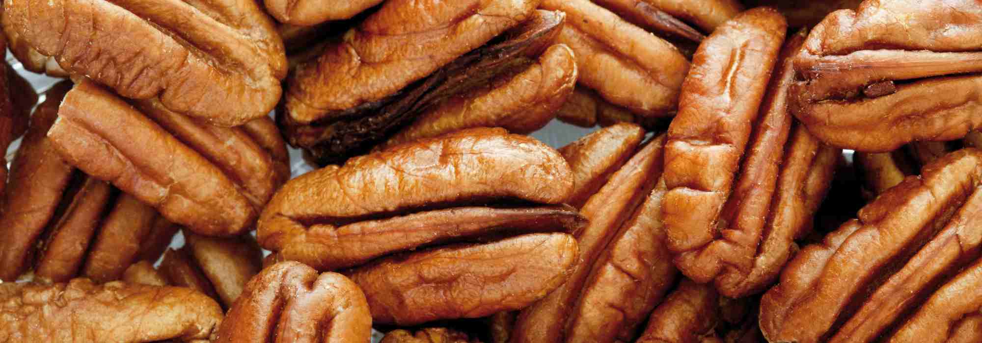 Pacanier: las mejores variedades