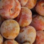 Pluot o ciruela-albaricoque: las mejores variedades