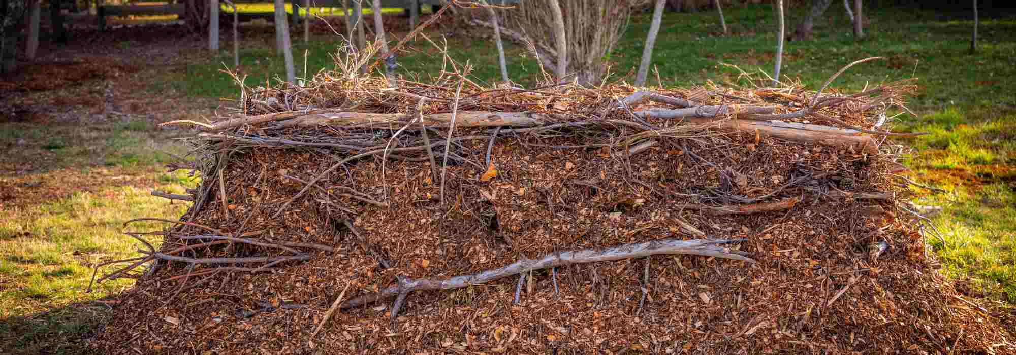 Cultivo en caballones: ¿por qué y cómo practicarlo?