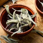 ¿Cómo secar y conservar la salvia officinal?