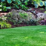 ¿Cómo crear un rincón de sombra y frescor en el jardín?