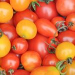 ¿Cómo elegir sus tomates cherri o de tipo cóctel?
