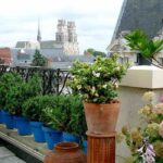 Cómo calcular el volumen de sustrato necesario para una maceta?