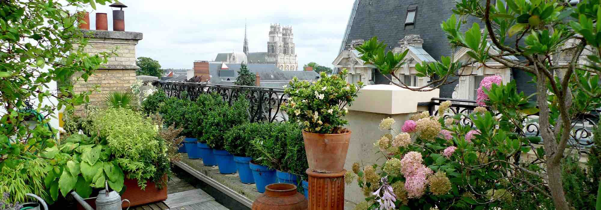 Cómo calcular el volumen de sustrato necesario para una maceta?