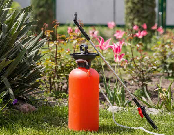 Las consecuencias negativas de los pesticidas sobre la fauna del suelo