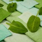 Tinte vegetal: ¿cómo hacer una tintura natural con plantas del jardín?