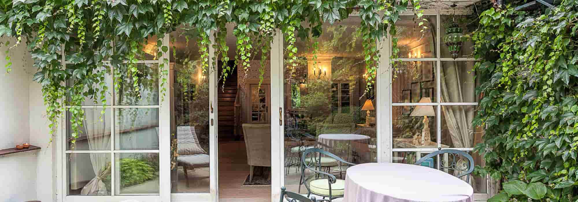 7 plantas con flores que puedes invernar en Veranda