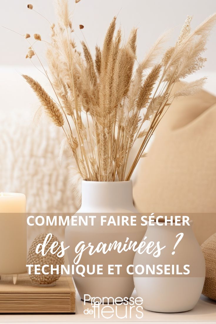 gramíneas para componer un ramo seco