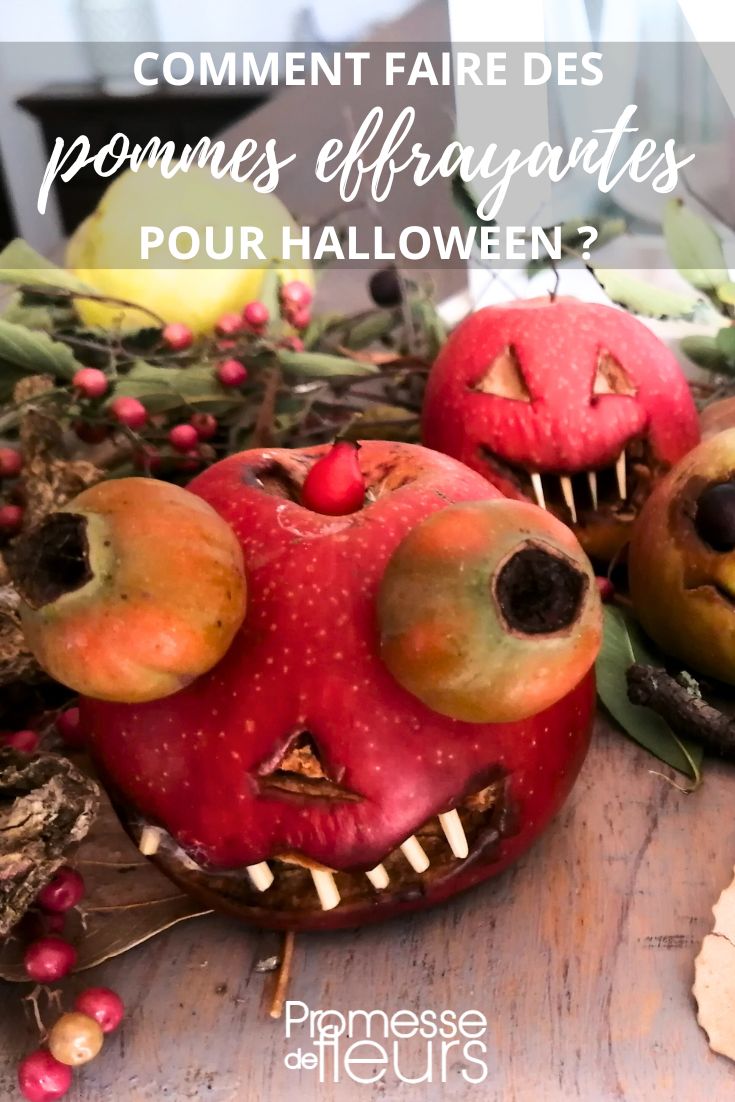 decoraciones de Halloween naturales