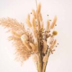 ¿Cómo secar gramíneas para crear un ramo seco?