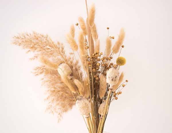 ¿Cómo secar gramíneas para crear un ramo seco?
