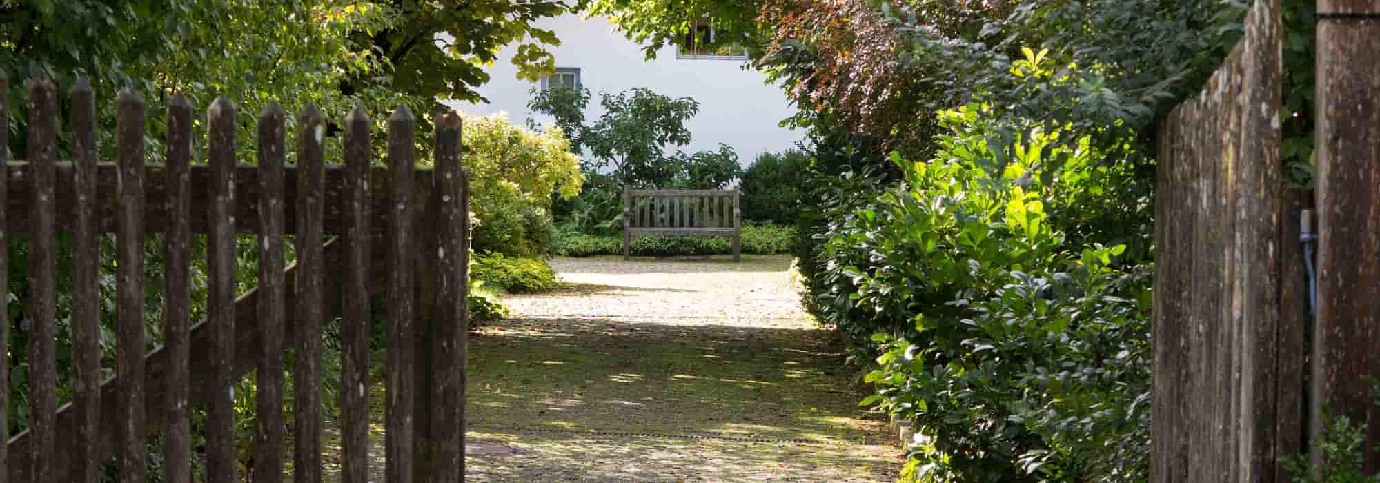 5 Arbustos para setos para suelos pedregosos