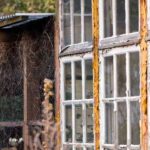 ¿Tu vecino no cuida su jardín? ¿Qué puedes hacer?