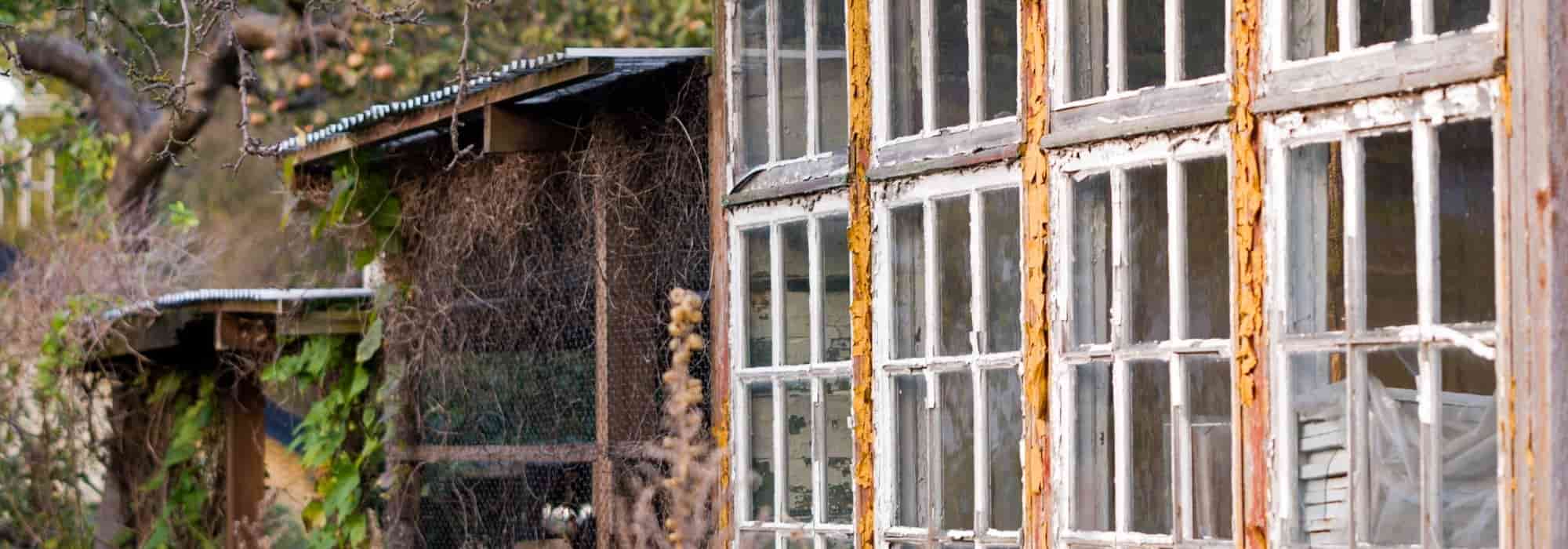 ¿Tu vecino no cuida su jardín? ¿Qué puedes hacer?