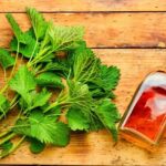 ¿Cómo preparar una loción con plantas para que el cabello quede brillante?