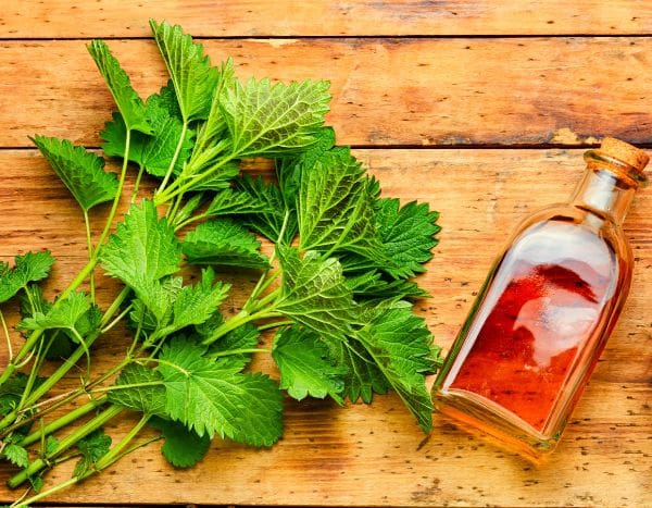 ¿Cómo preparar una loción con plantas para que el cabello quede brillante?