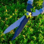 ¿Cómo Podar y cuidar los arbustos de hoja perenne?