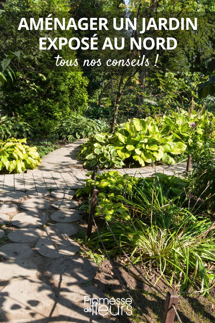 Consejos, trucos e ideas para un jardín con sombra