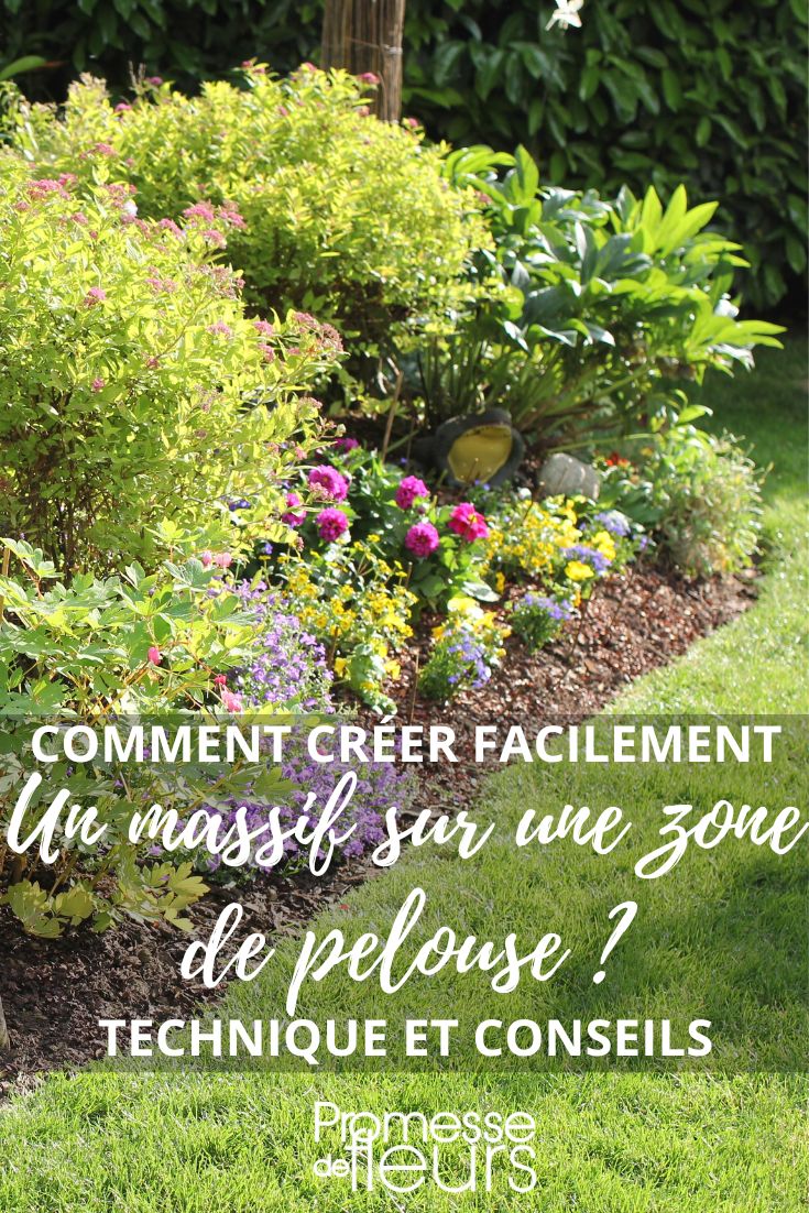 transformar tu césped en macizo de flores