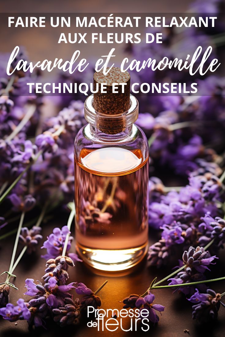 la lavanda por su poder relajante y la manzanilla por sus propiedades calmantes