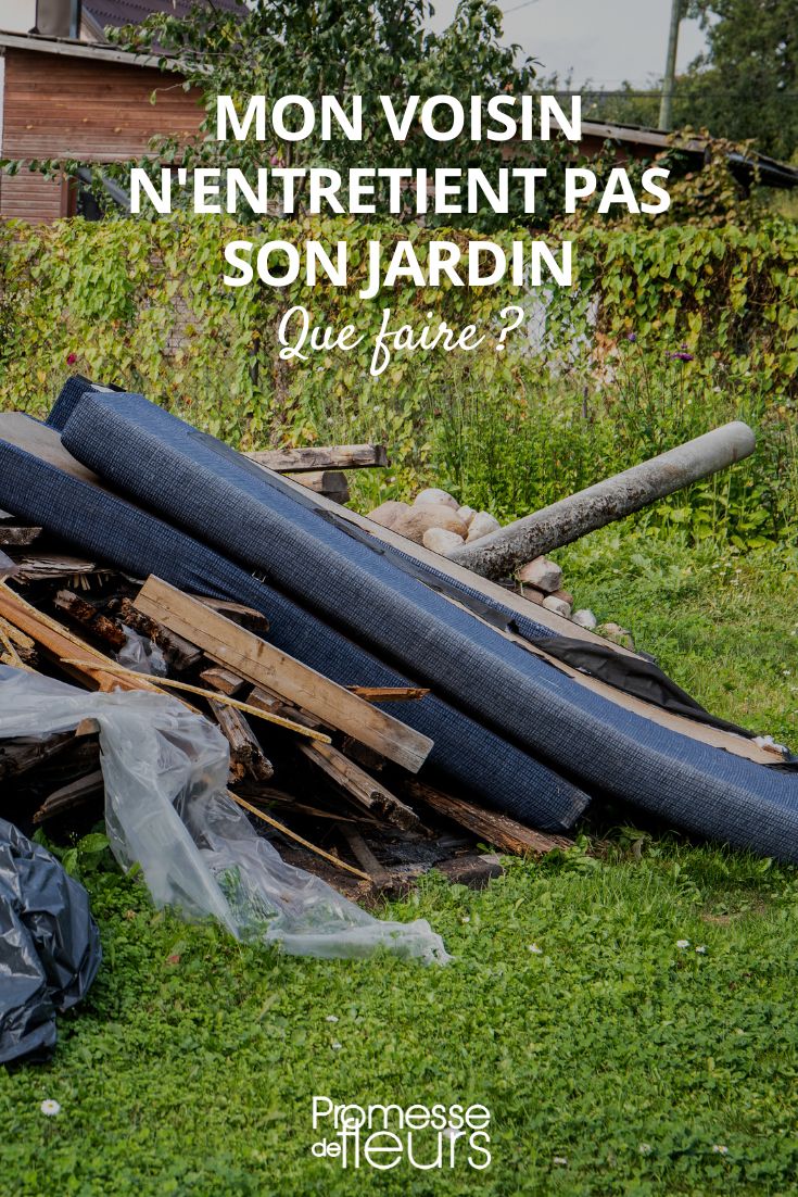 Malezas, malas hierbas, escombros, desechos: ¿cuáles son las soluciones posibles?