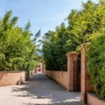 ¿Cómo crear un seto de bambú?